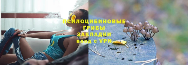 бошки Алексин