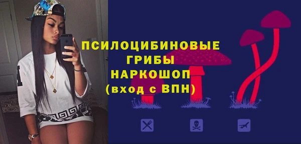 spice Армянск