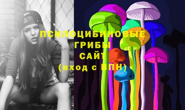 бошки Алексин
