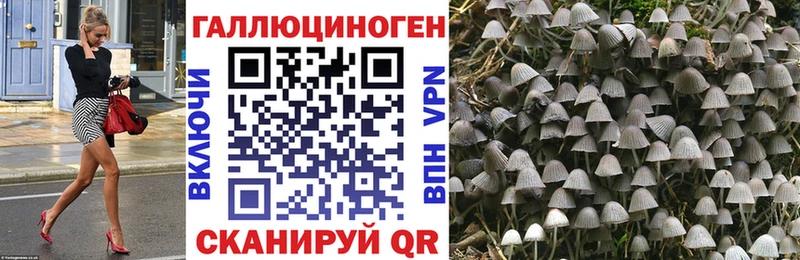 Галлюциногенные грибы мухоморы omg ССЫЛКА Межгорье даркнет сайт