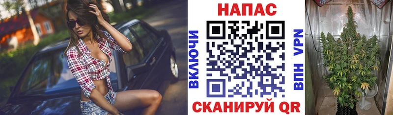 MEGA ONION  Межгорье  Канабис планчик 
